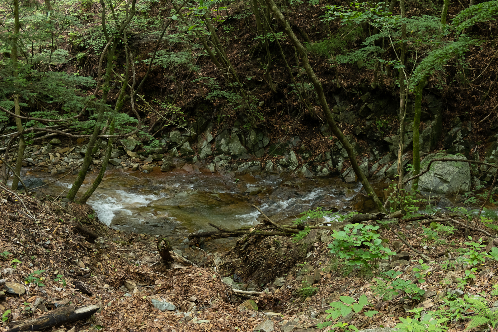 DSCF0507