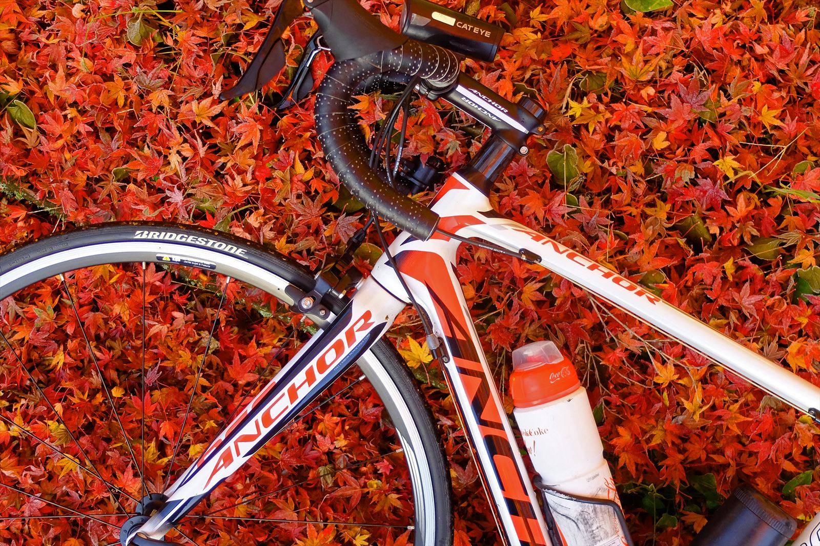 11月 会津若松 自転車
