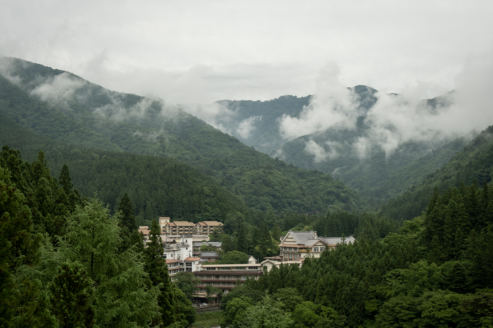 DSCF0600