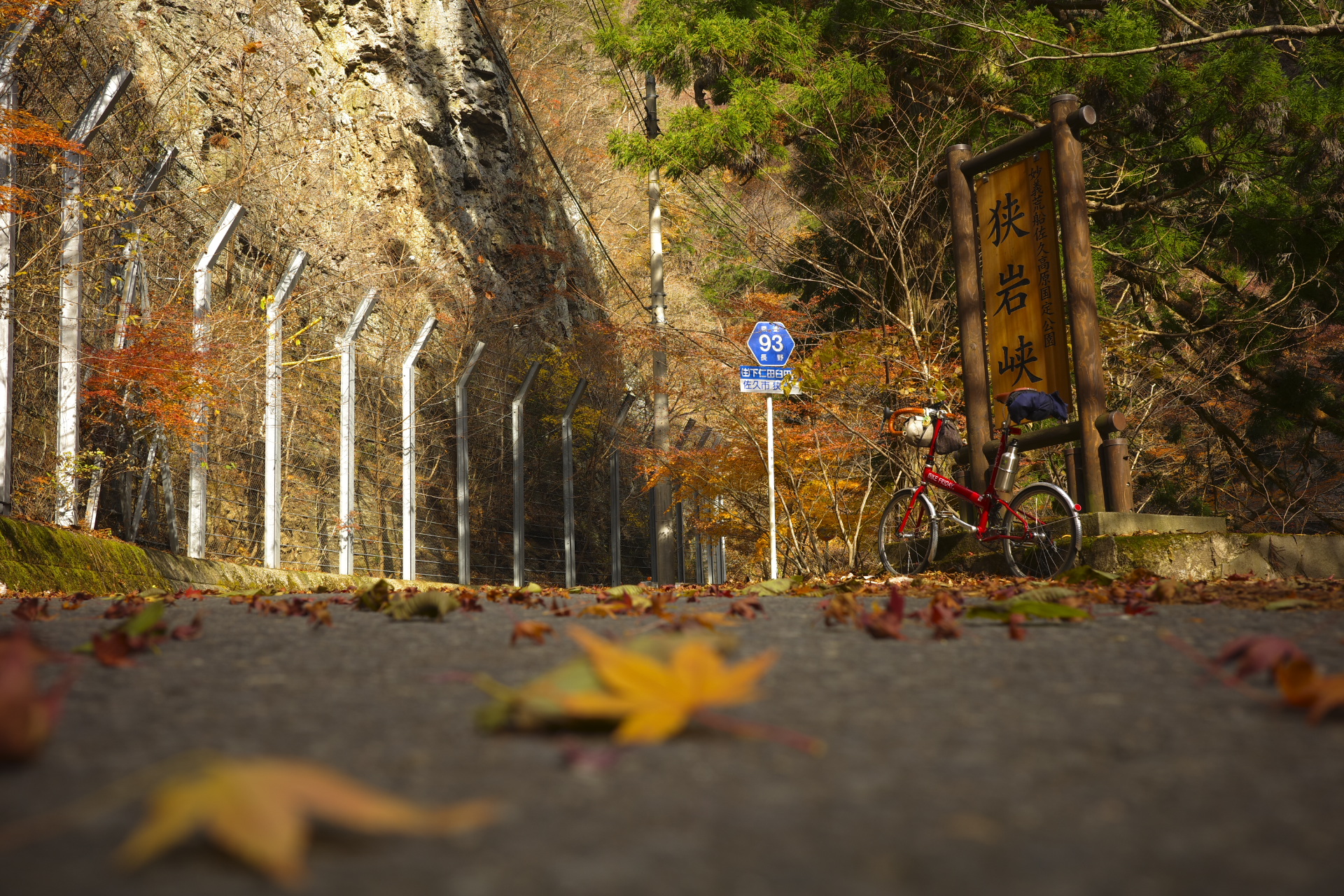 日本於海迄結構遠サイクリング サイクリングにうってつけの日