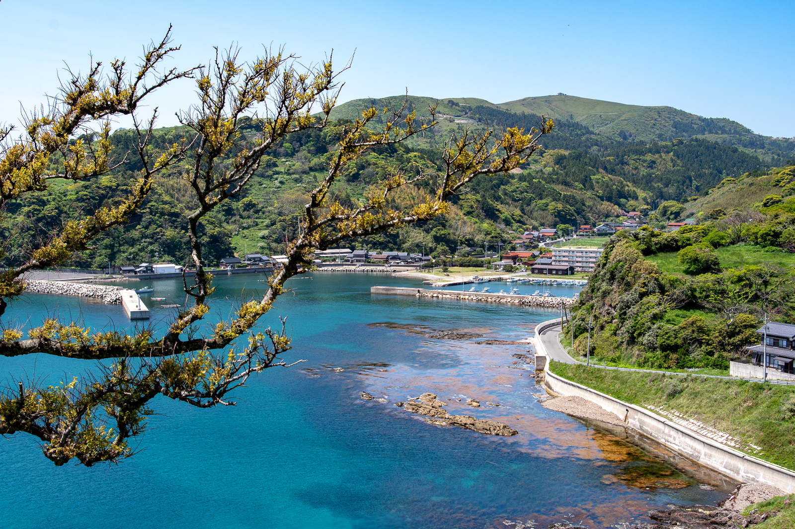 隠岐諸島サイクリング 知夫里島 サイクリングにうってつけの日