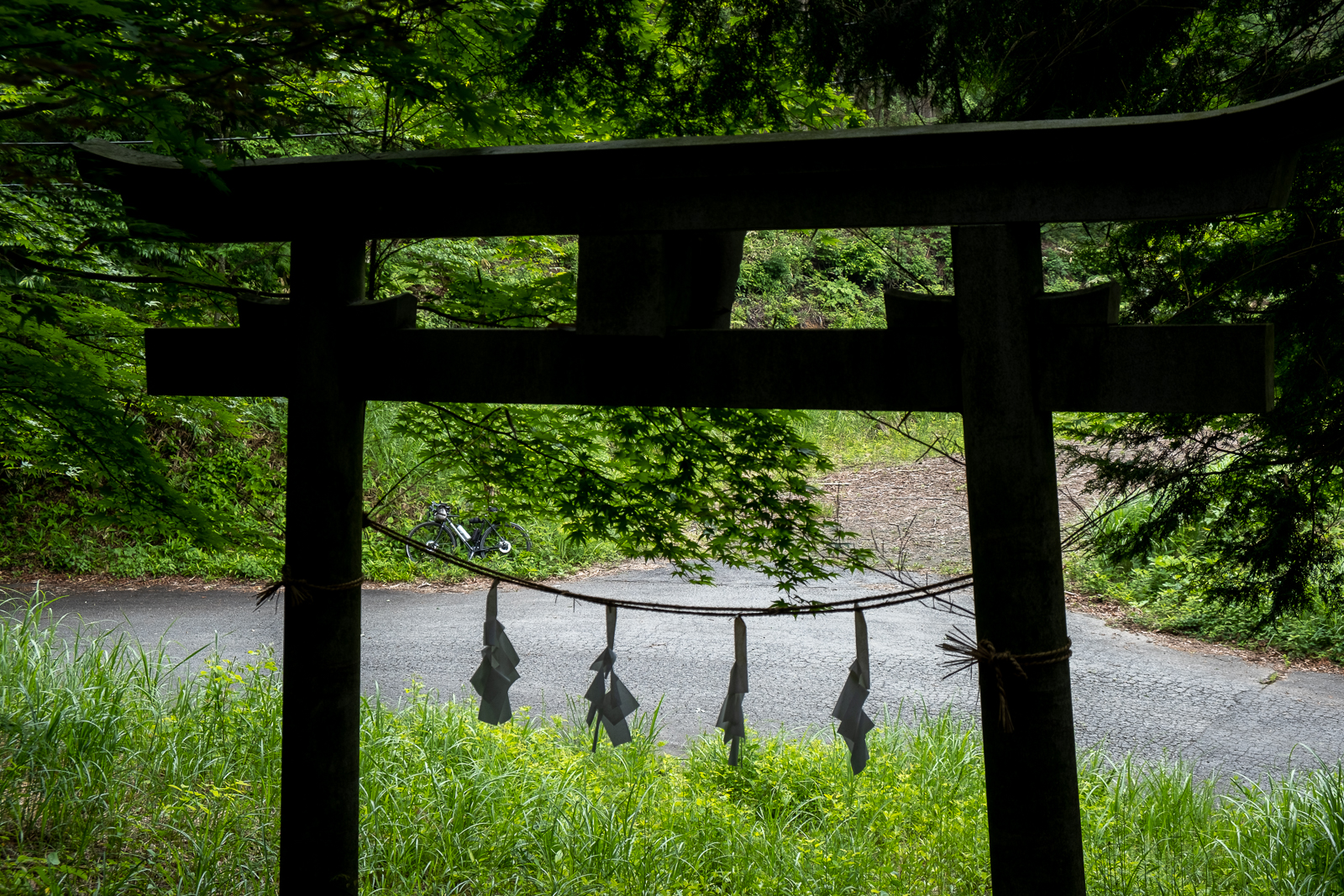 DSCF0579