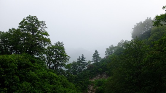 DSCF0147