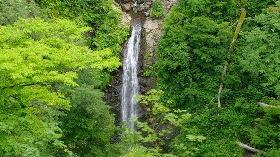 DSCF0149