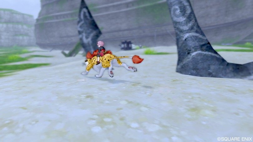 盗賊ドレスアップ ケタッピのドラクエ10