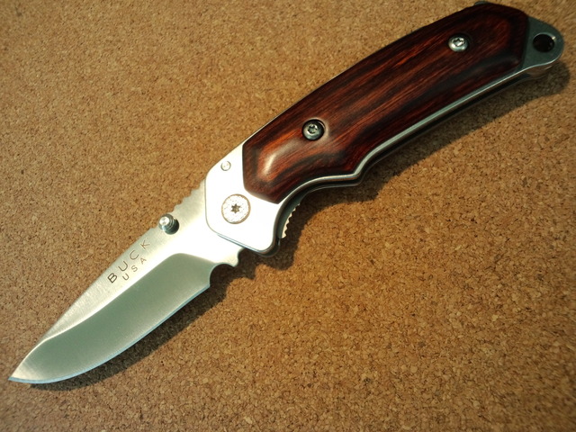 Buck Folding Alpha Hunter 6