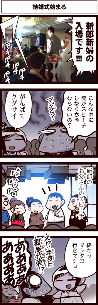 中国嫁490-01