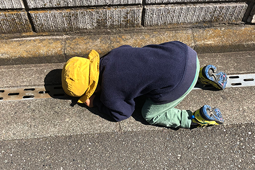 2020-03-18 バオバオと散歩 001
