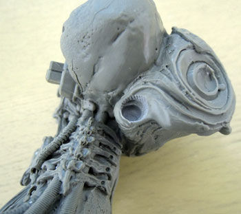 Blog-space-host23