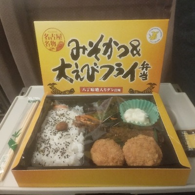 IMG_20210226_190307_195