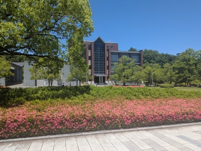 PXL_20260530_022914537