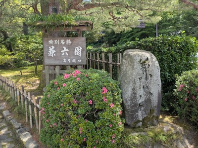 PXL_20260525_024506467