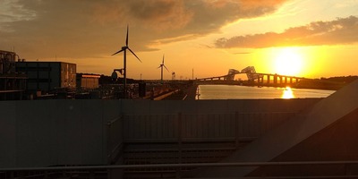 line_36496892247730