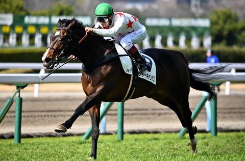 みっきーきゃんばす