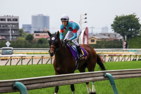 オークス (33)
