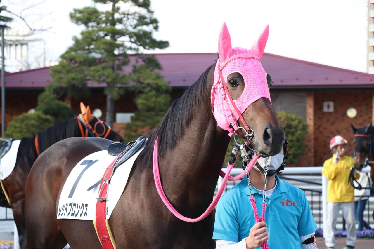 競馬 サトノダイヤモンド ルメールJ 池江泰寿先生 直筆サイン入り 【別
