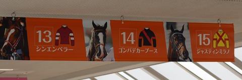 ダービーブログ (7)