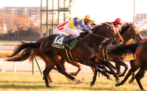 IMG_9592_ノスタルジー