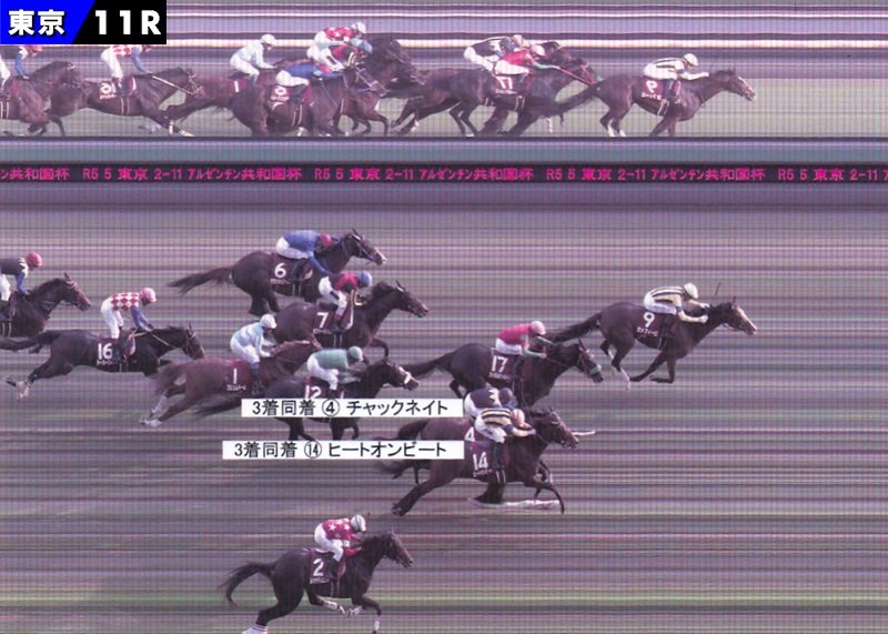 ルーラーシップ 新馬戦〜有馬記念 現地単勝馬券&勝利レース写真 （イク 