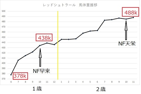 1000003123