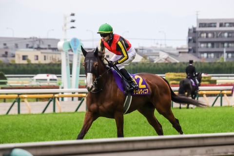 オークス (22)