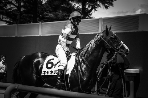 IMG_6420_edited
