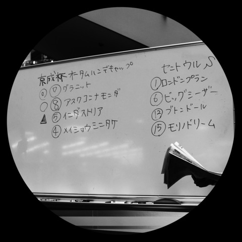 IMG_5062_edited2