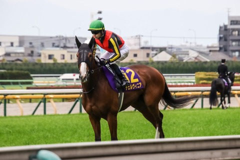 オークス (21)
