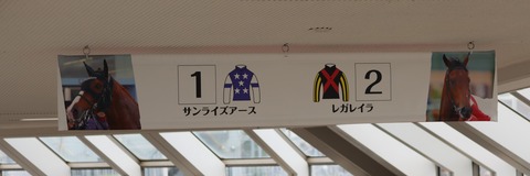 ダービーブログ (1)