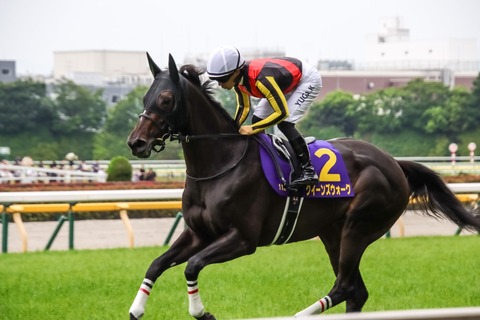 オークス (28)
