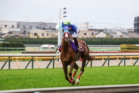 オークス (18)