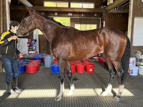 org_kinkyo_redmare_57