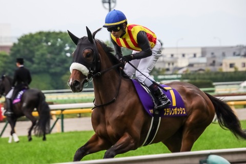オークス (24)