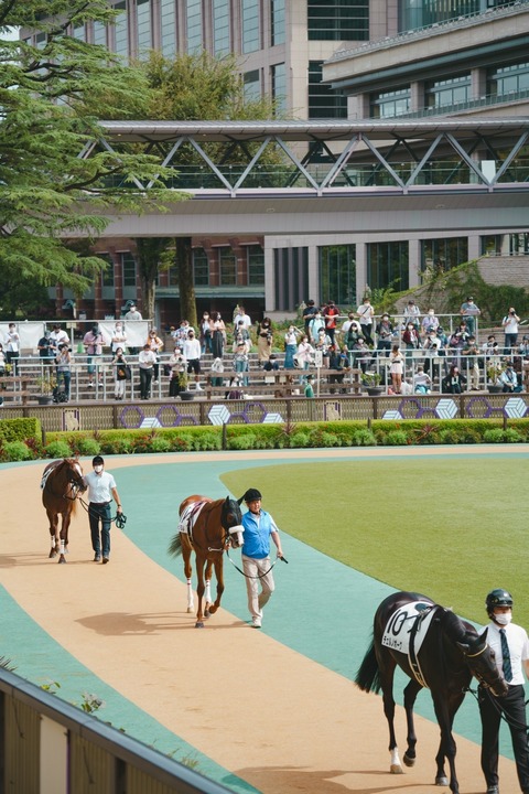 3A5CBE50-D22C-423D-AE46-2FF11576AA15