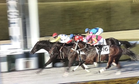 BD306DBD-36A0-470A-9DB8-B22B32442E15