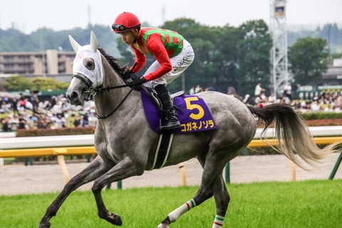 オークス (26)