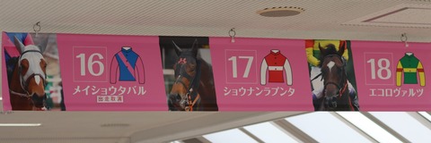 ダービーブログ (8)