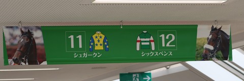 ダービーブログ (6)