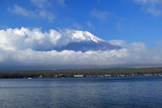 DSCF0605