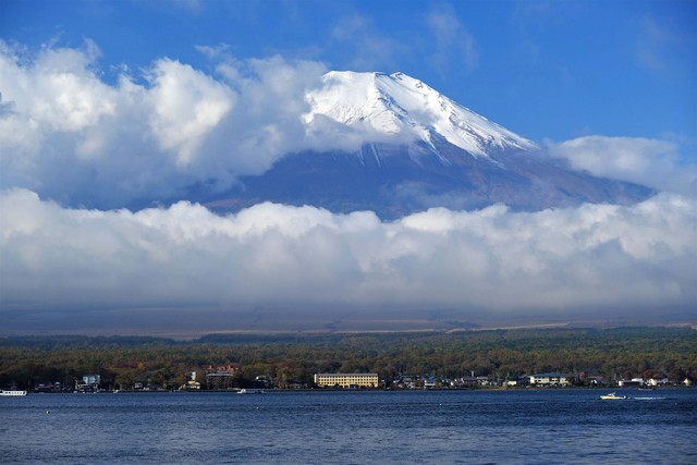 DSCF0602