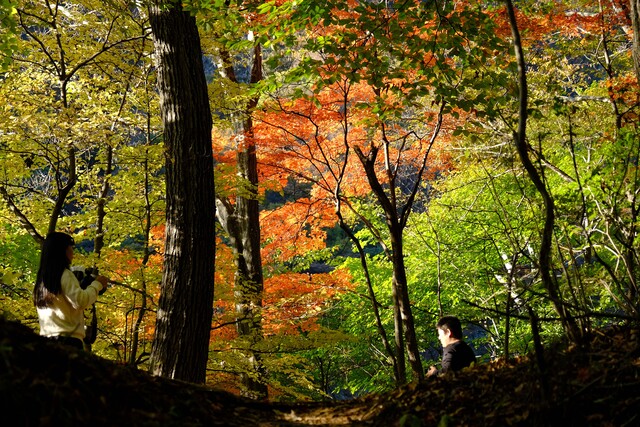 紅葉ドライブ 吾妻渓谷の紅葉がきれいでした おでかけphoto日記 紅葉ドライブ 吾妻渓谷の紅葉がきれいでした おでかけphoto日記