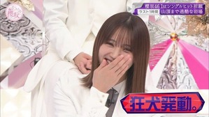 狂犬2