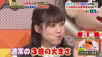 松田里奈ジョブチューン