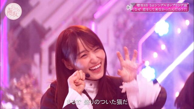 櫻坂46 菅井友香 そこさくで披露した なぜ恋 での猫ポーズが可愛すぎる Sakuraevo 櫻坂46 菅井友香 そこさくで披露した なぜ恋 での猫ポーズが可愛すぎる Sakuraevo