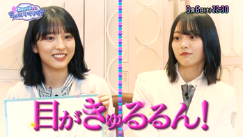 ひなちょいボーダレスメンバー2