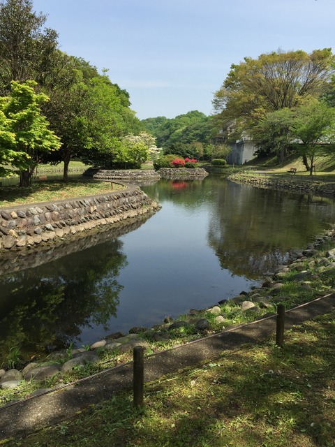 0b799290.jpg