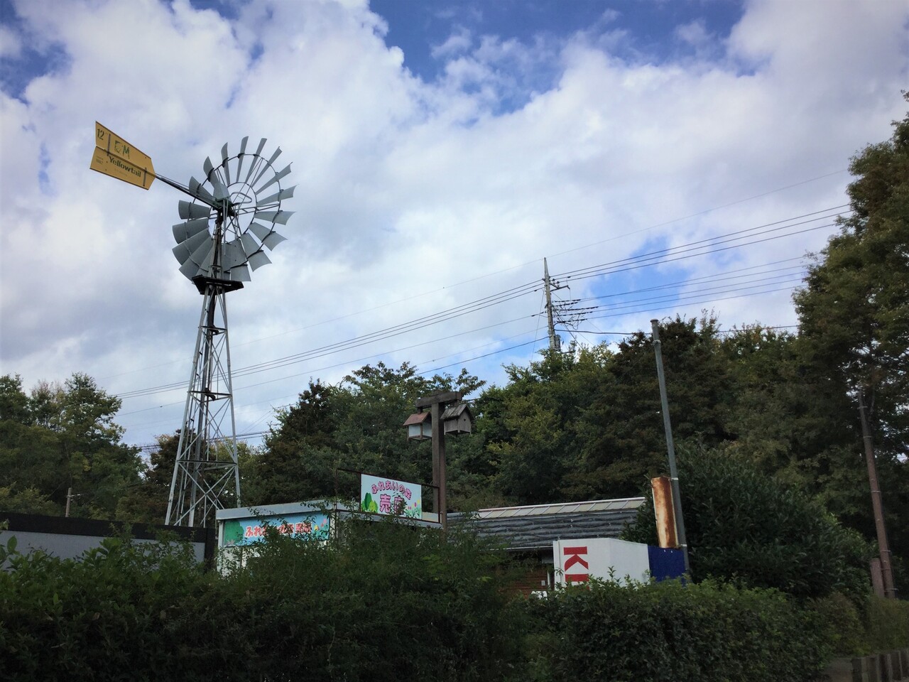 ブレンド レクリエーション 大和市泉の森公園 相模原市 特定非営利活動法人けやきの会 ブレンド レクリエーション 大和市泉の森公園 相模原市 特定非営利活動法人けやきの会