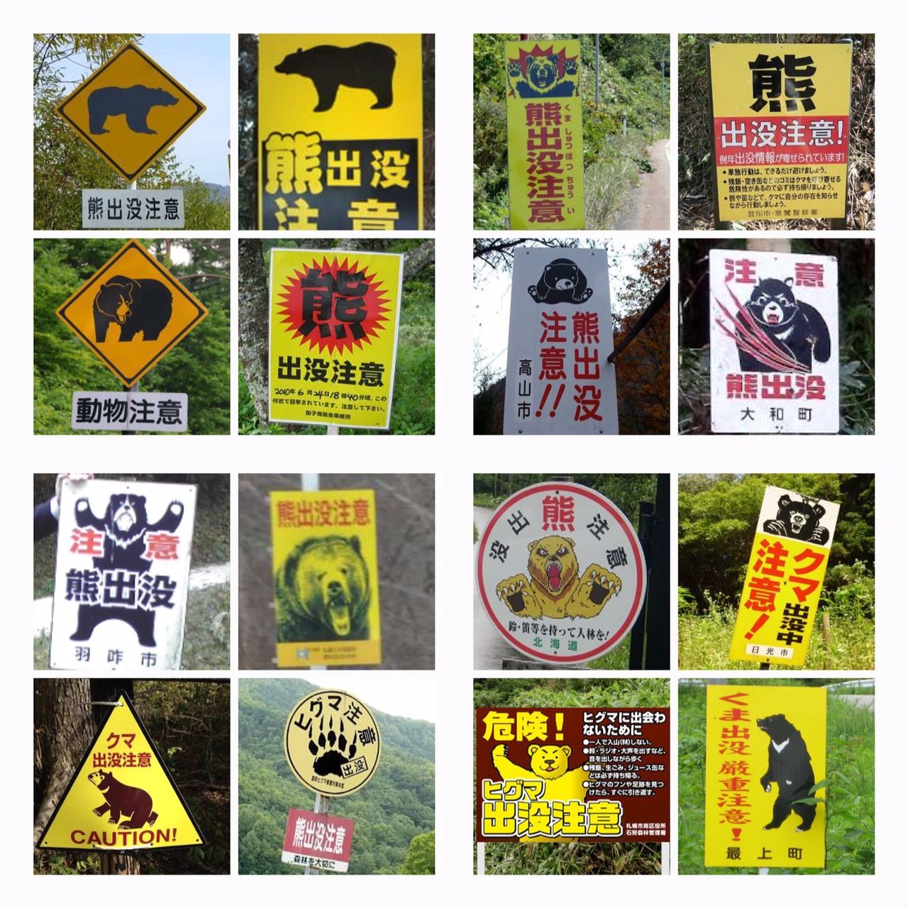 長野原でクマ撃退 けやき屋さん 長野原でクマ撃退 けやき屋さん