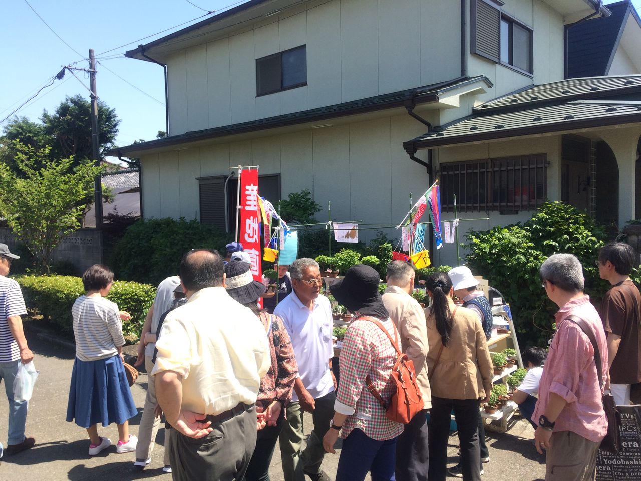 大盆栽祭り17 5 3 4 5 お待ちしてま す けやき屋さん 大盆栽祭り17 5 3 4 5 お待ちしてま す けやき屋さん