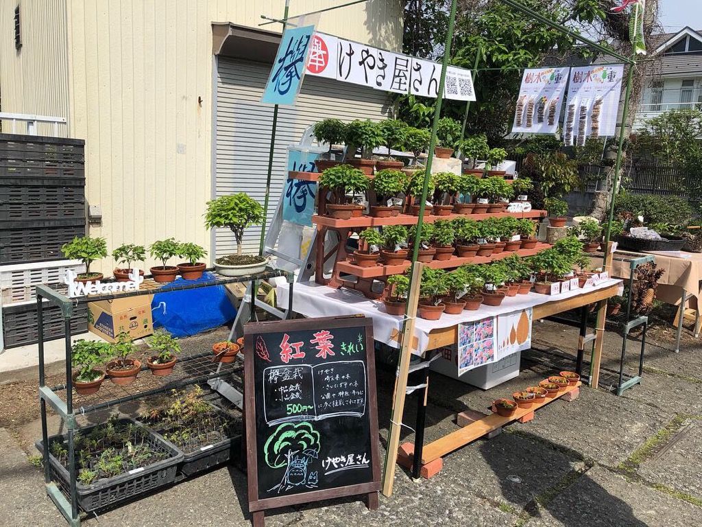 大宮の盆栽祭りにお越しいただき誠にありがとうございました けやき屋さん